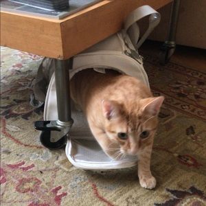 Meet your Posher, Bettina